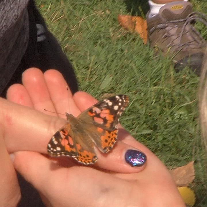 MONARCH FESTIVAL 10VO.transfer_frame_561.jpg